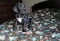 SAM_4406
