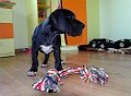 SAM_4414