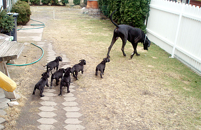 boys2