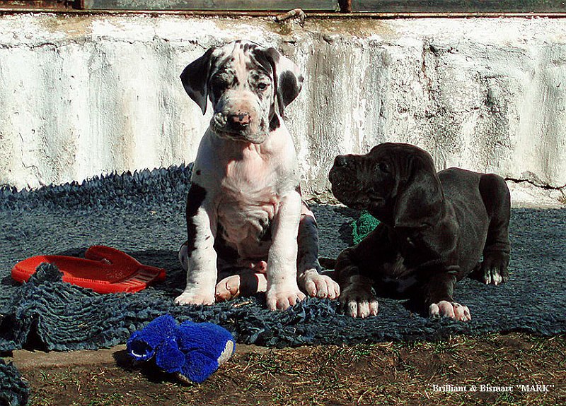 7sav2