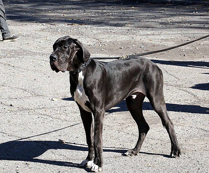 644126_658753654142468_618101425_n