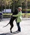 1390588_658753400809160_236775418_n