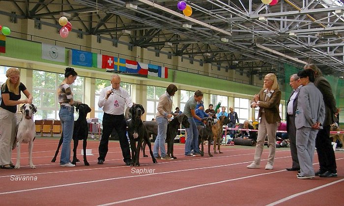 Konkurencija-jaunimo-Beste