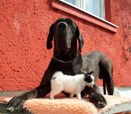 bella26.jpg - OLYMPUS DIGITAL CAMERA         