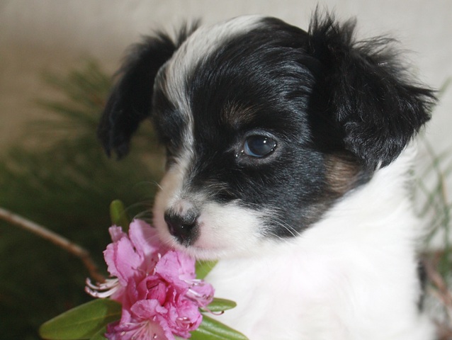 boy1-9.jpg