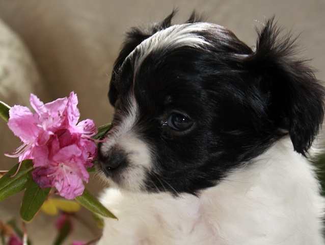 boy2-8.jpg