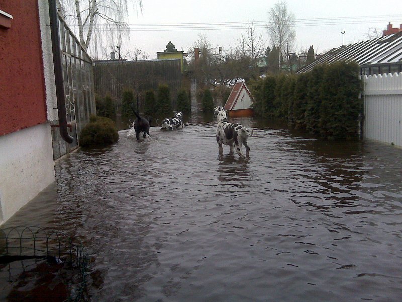 IMG00073r