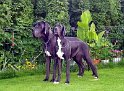 saficami
