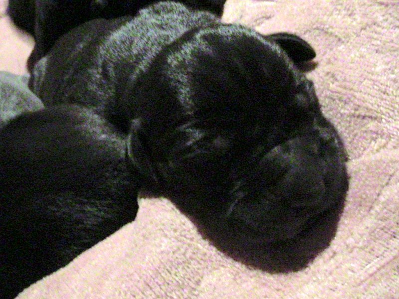 PIC_0746.JPG