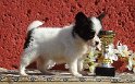 6sav9