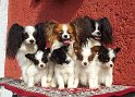 kids3