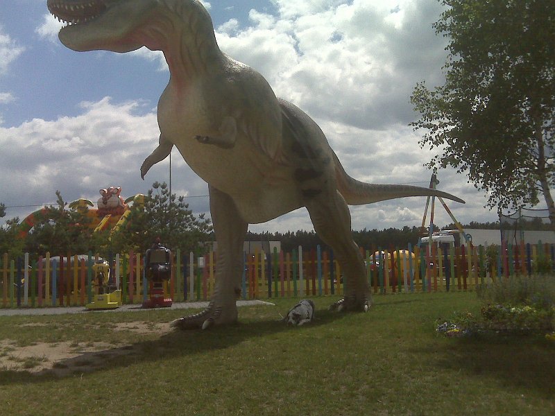 IMG00186q