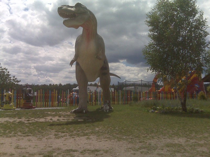 IMG00188q
