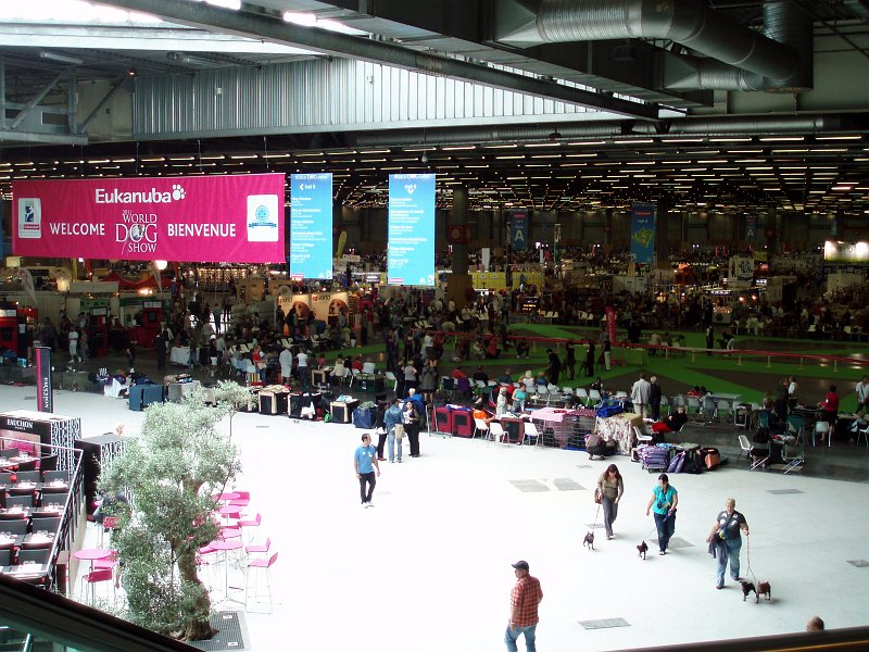 P1010005o