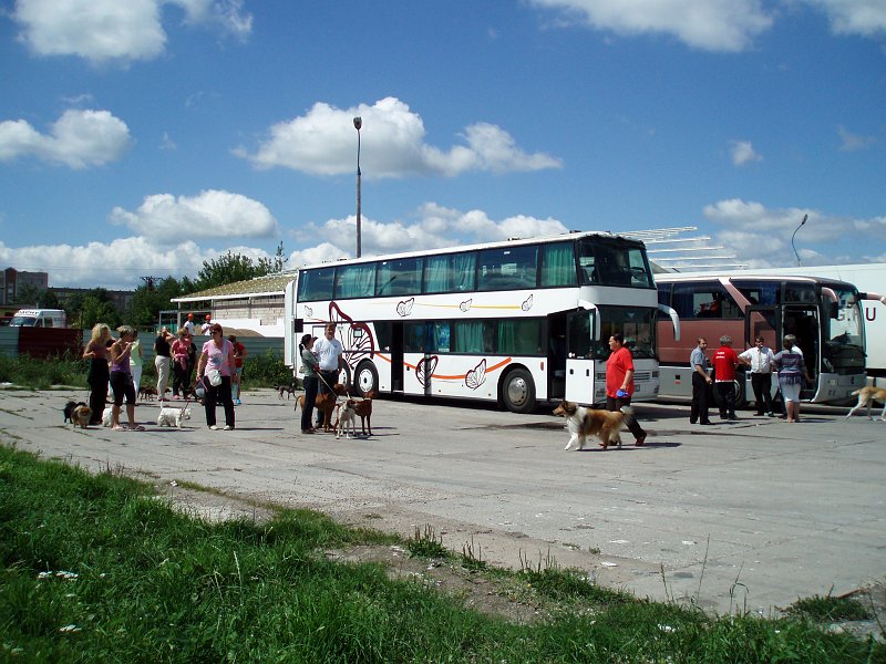 P1010034o
