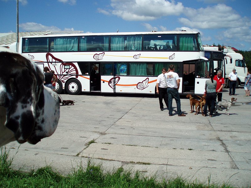 P1010039o