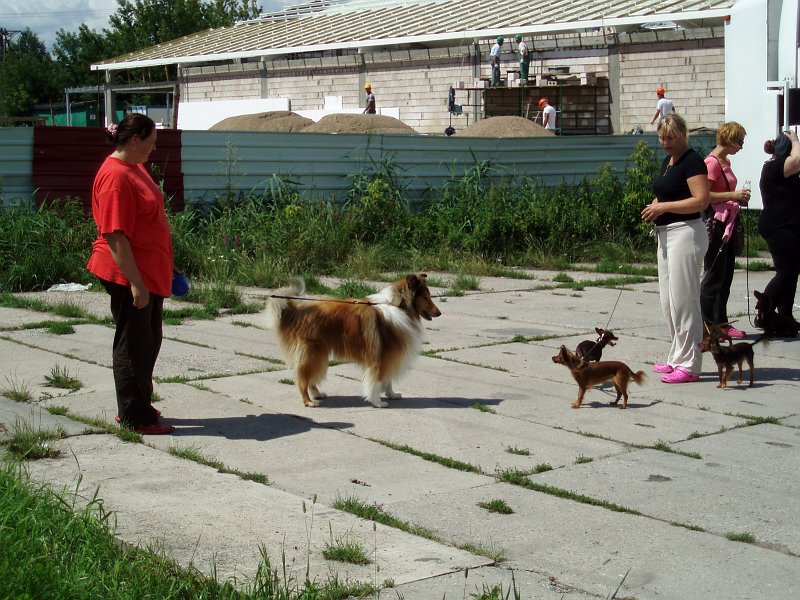 P1010041o