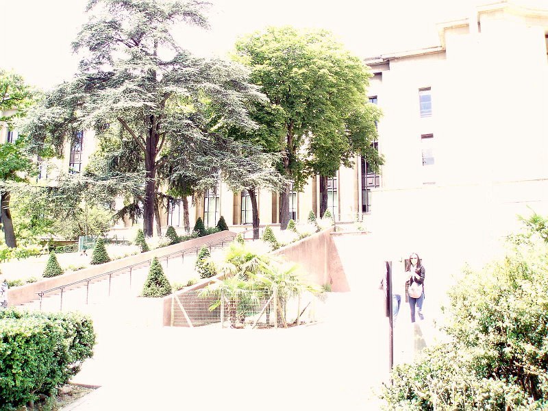 P1010106