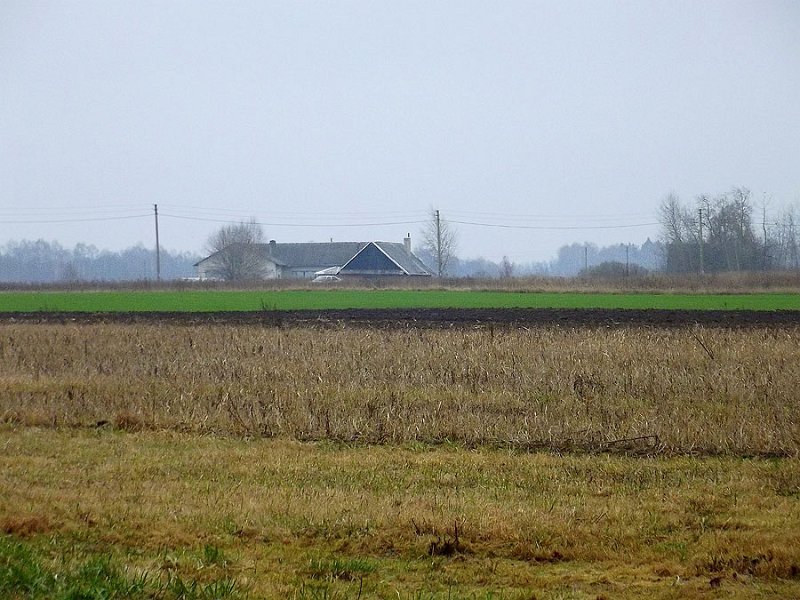 sau3