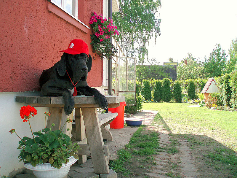 du7