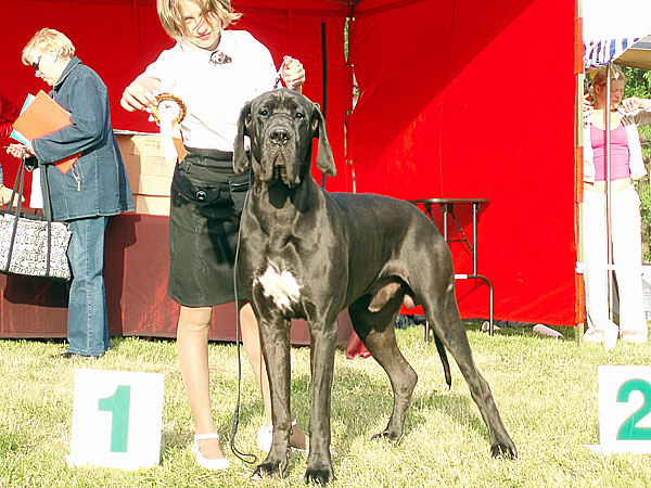 saf2
