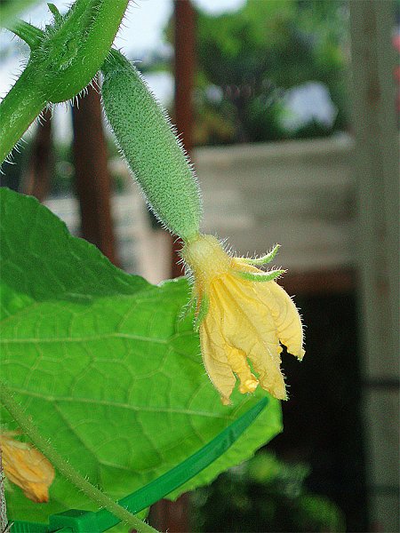 P1010153